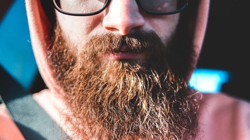 How to Fix Black Beard Algae: The Complete Battle Plan