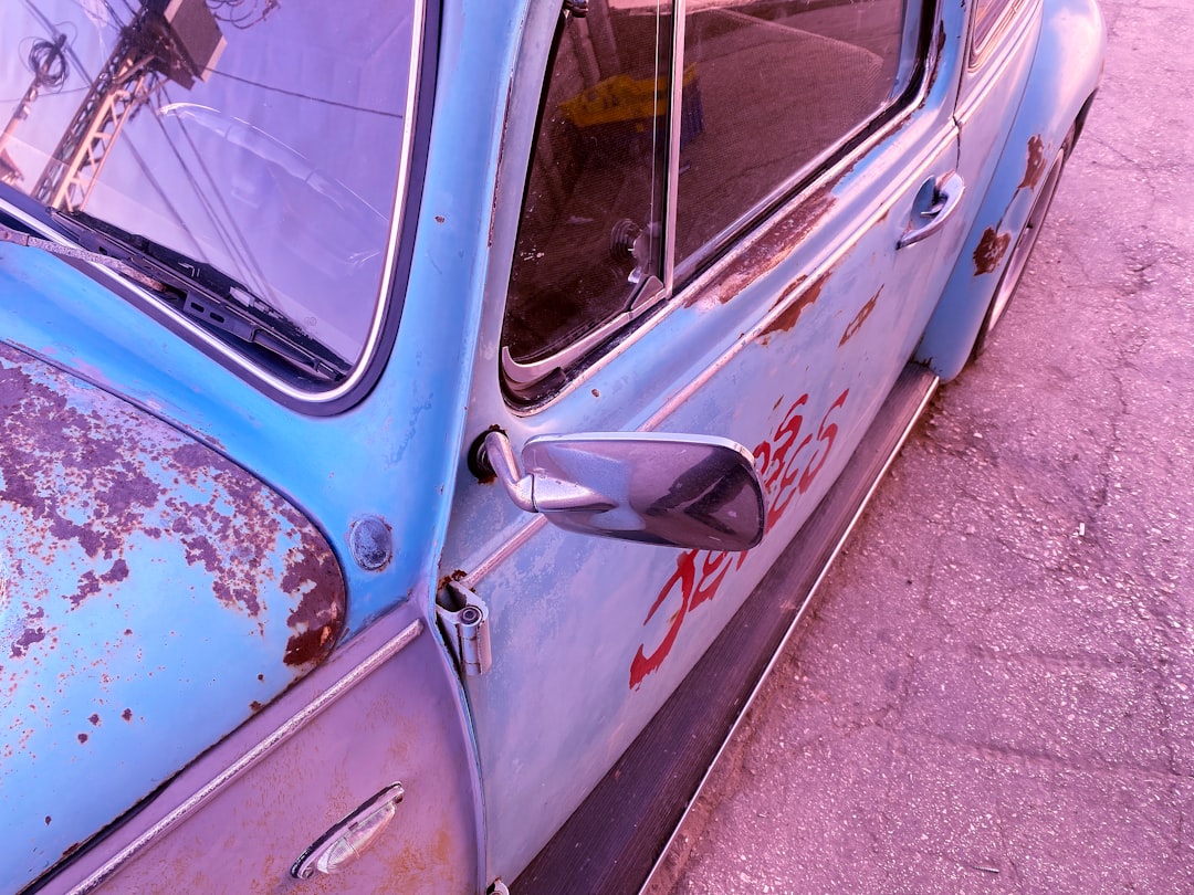 How to Fix Blue-Green Algae on Rocks and Hardscape