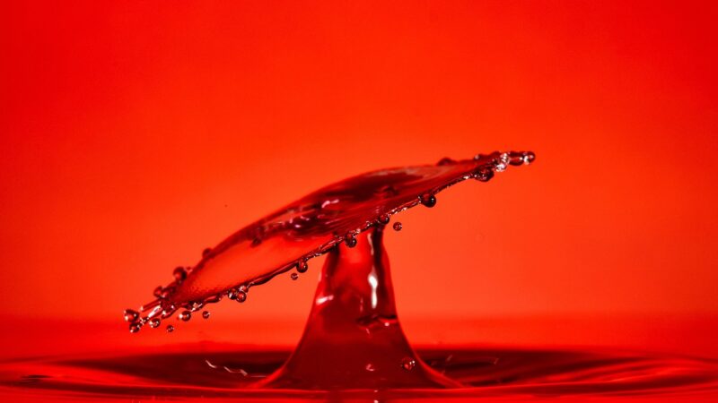 red, drop, splash, impact, ripples, water, ripple effect, waves, macro, drip, liquid, nature, surface tension, surface, water
