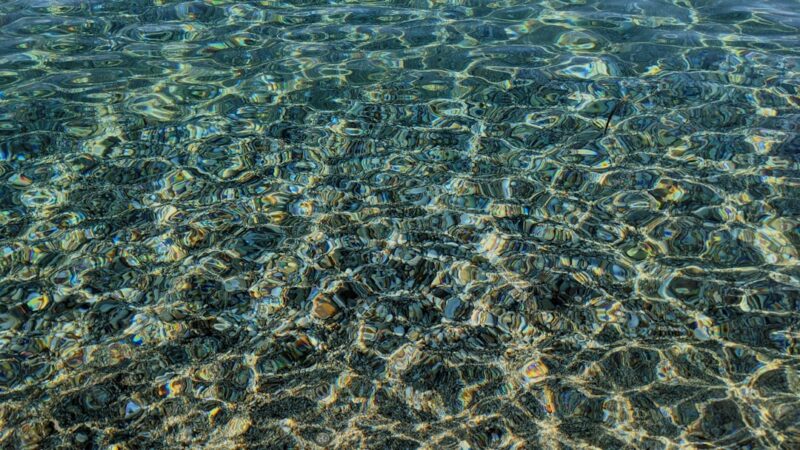 How to Keep Crystal Clear Aquarium Water