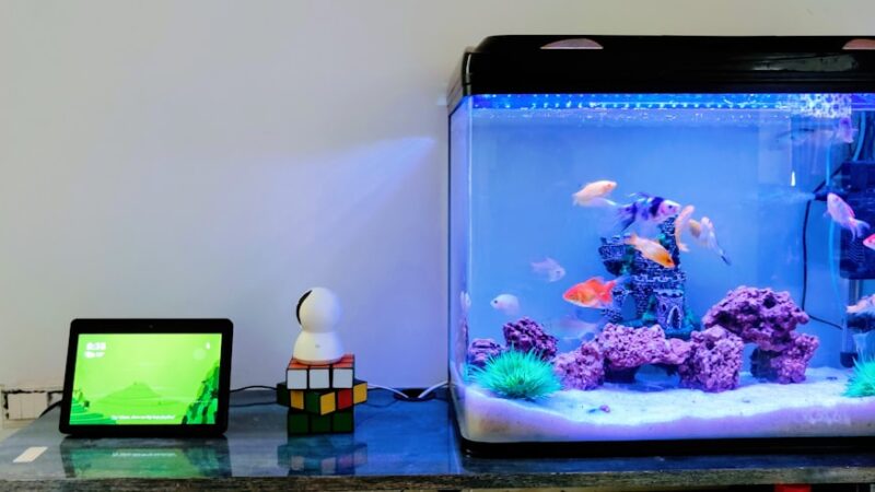 How to Set Up an Aquarium Monitoring System