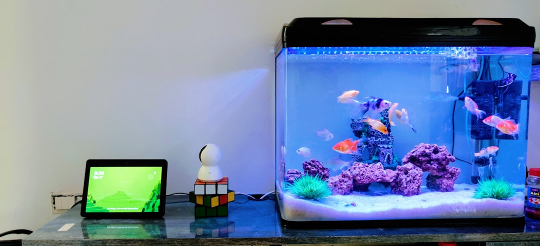 How to Set Up an Aquarium Monitoring System