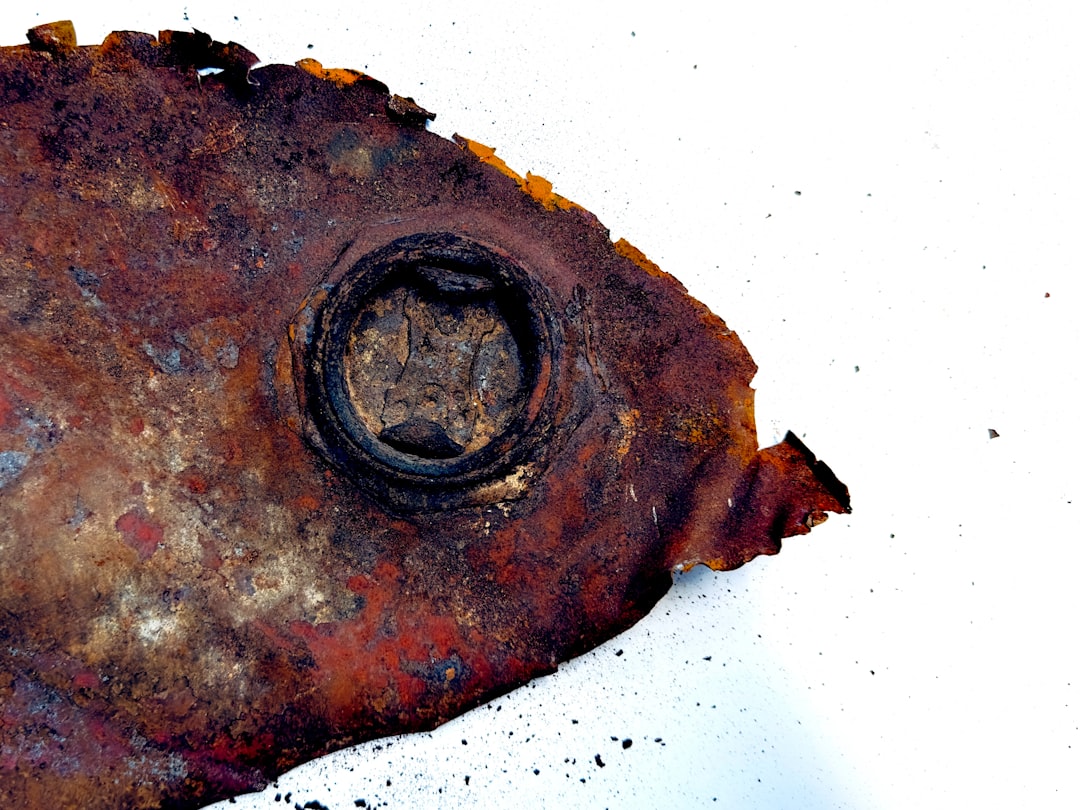 How to Treat Hole in the Head Disease in Fish