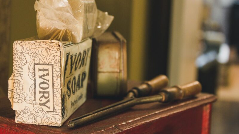 Ivory Mystery Snail Care Guide: Cream Shell, Gentle Grazer