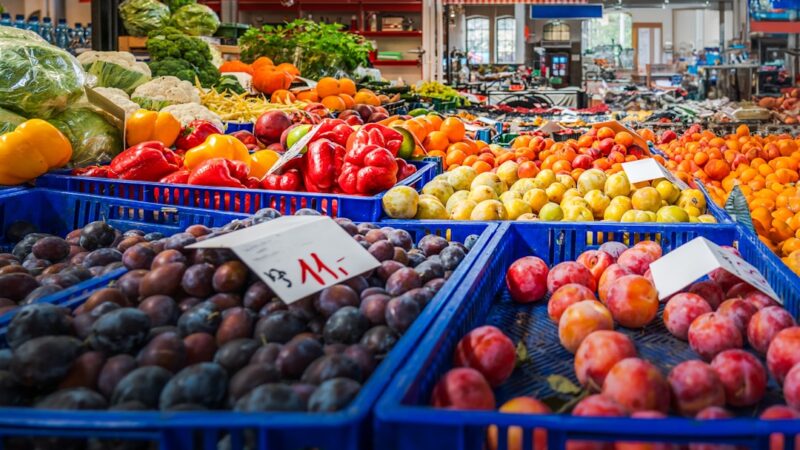 Live Food vs Dry Food for Aquarium Fish: What Is Best?