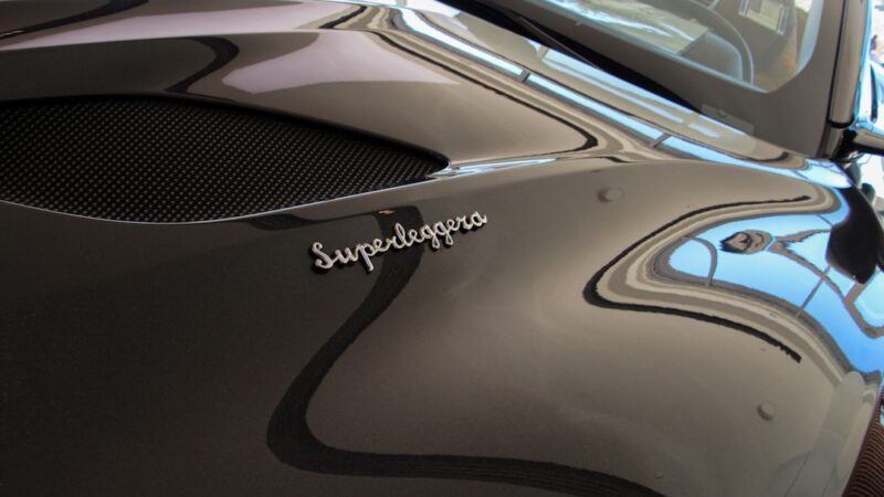 Ludwigia Super Red Care Guide: The Deepest Red Stem Plant