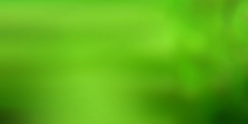 Nano Aquascape Guide: Stunning Planted Tanks Under 20 Litres