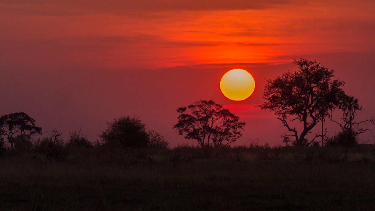 botswana, okavango delta, nature, sunset