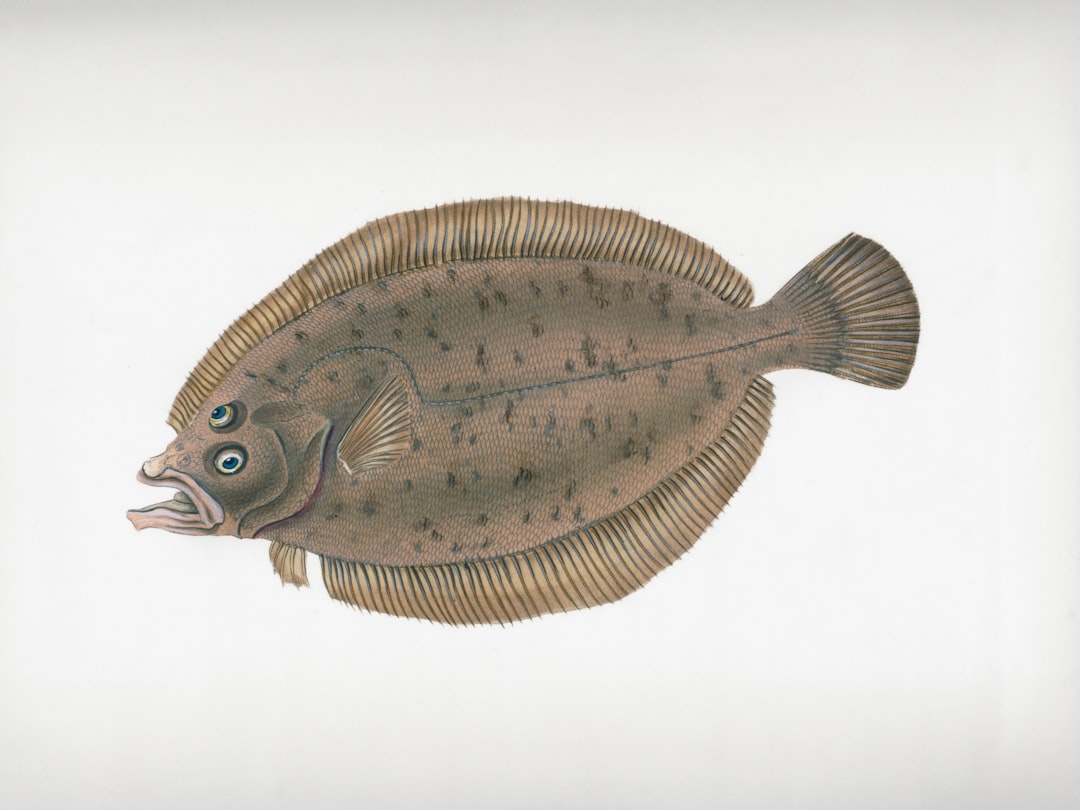 Otopharynx Lithobates Care Guide: Sulphur-Head Malawi Hap