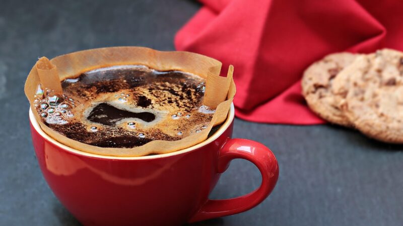 Pond Bog Filter DIY Build Guide: Natural Biological Stage