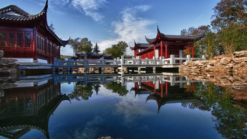 Pond Skimmer Installation Singapore Guide: Surface Debris