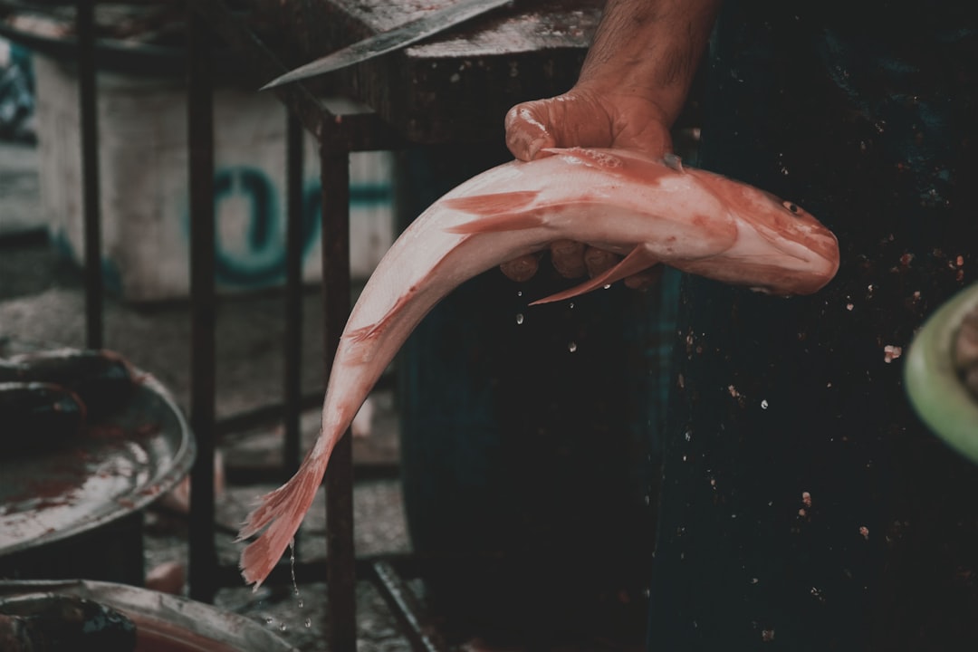 Rope Fish Care Guide: The Snake-Like Oddball