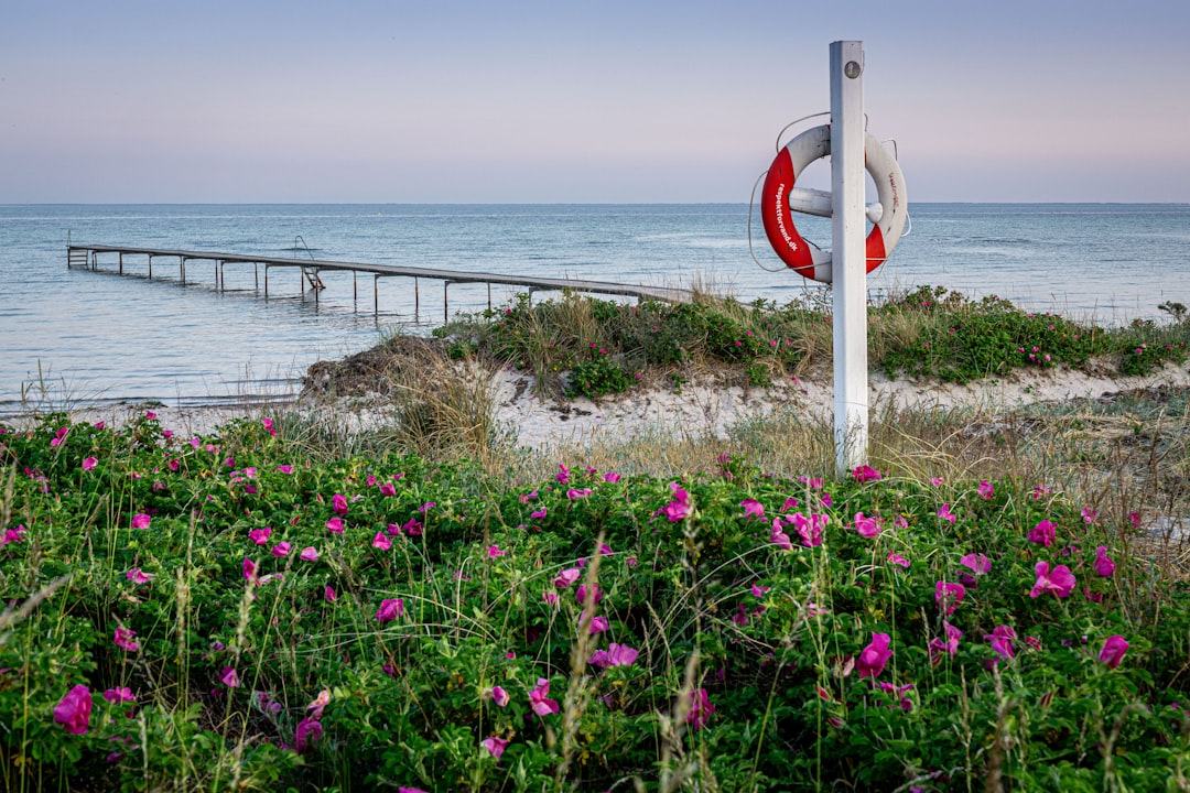 Rotala Florida Care Guide: Orange-Pink Stem for Dutch Tanks