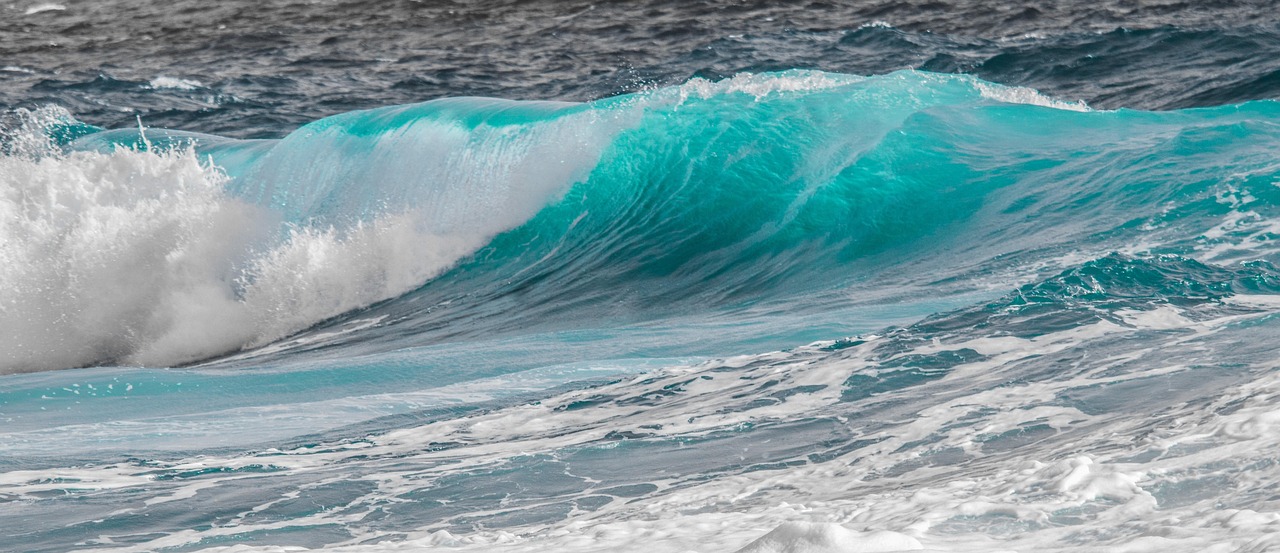 water, sea, surf, nature, turquoise, wave, ocean, foam, splash, spray, sea, surf, wave, wave, wave, wave, wave, ocean