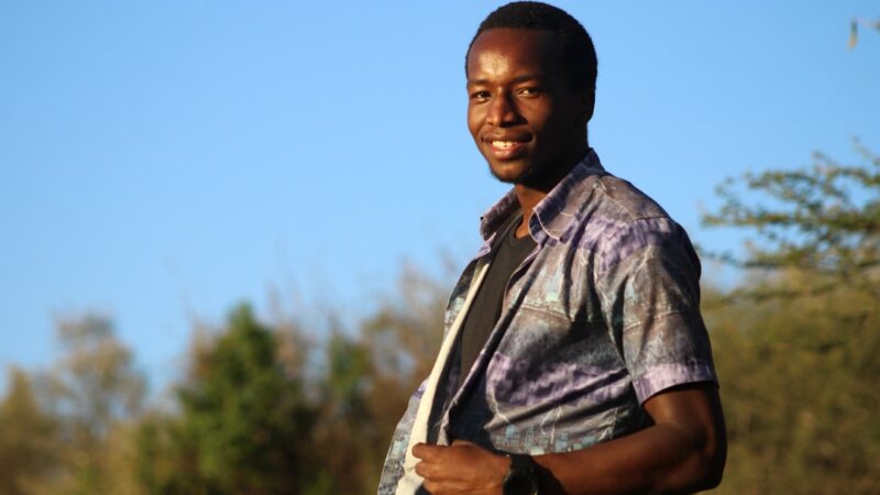 Wabi-Kusa Guide: The Japanese Art of Planted Moss Balls