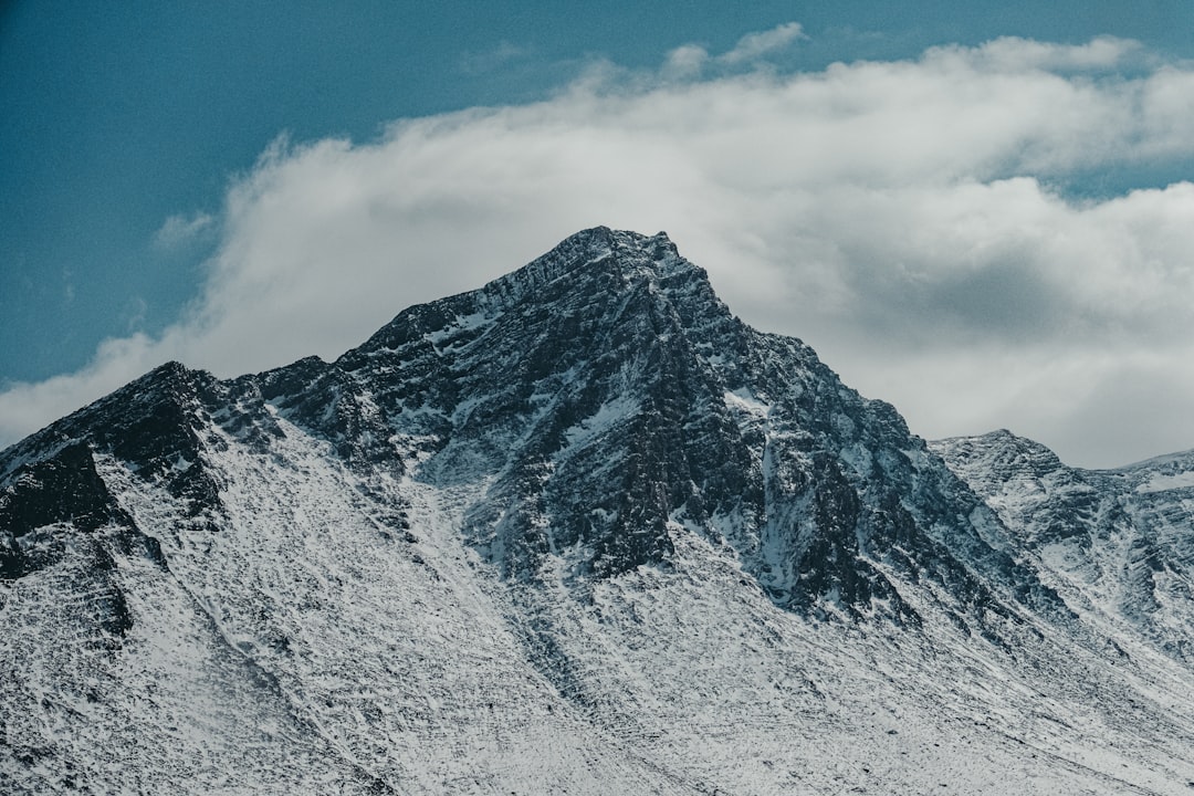 White Cloud Mountain Minnow Care Guide: A Cool-Water Classic