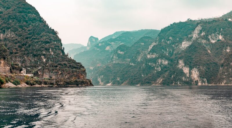 Yangtze River Biotope Aquascape: China's Great River System