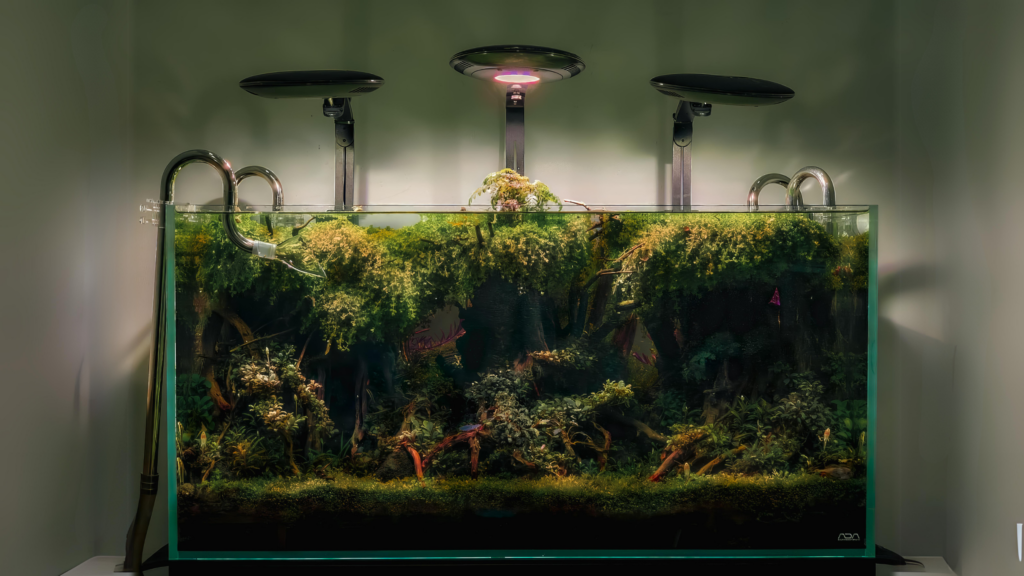 Long Rooted Forest Aquarium (P0151)