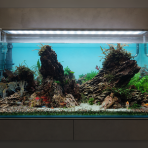 Dramatic Island Mountain Aquascape (P0333)