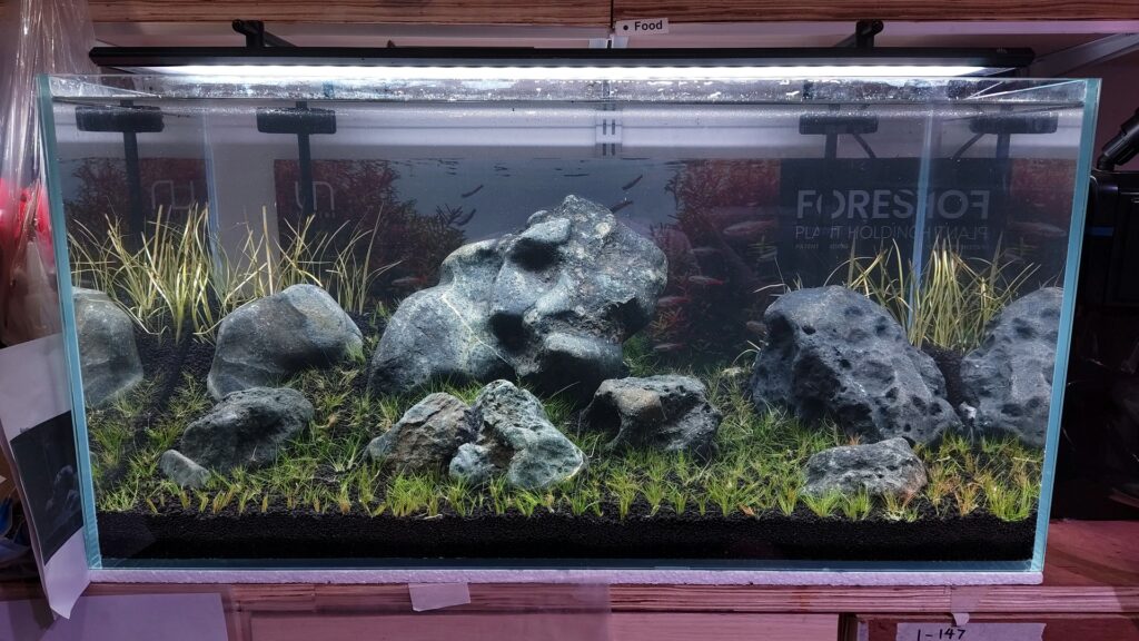 Hakkai Stone Meadow Aquascape (P0507)