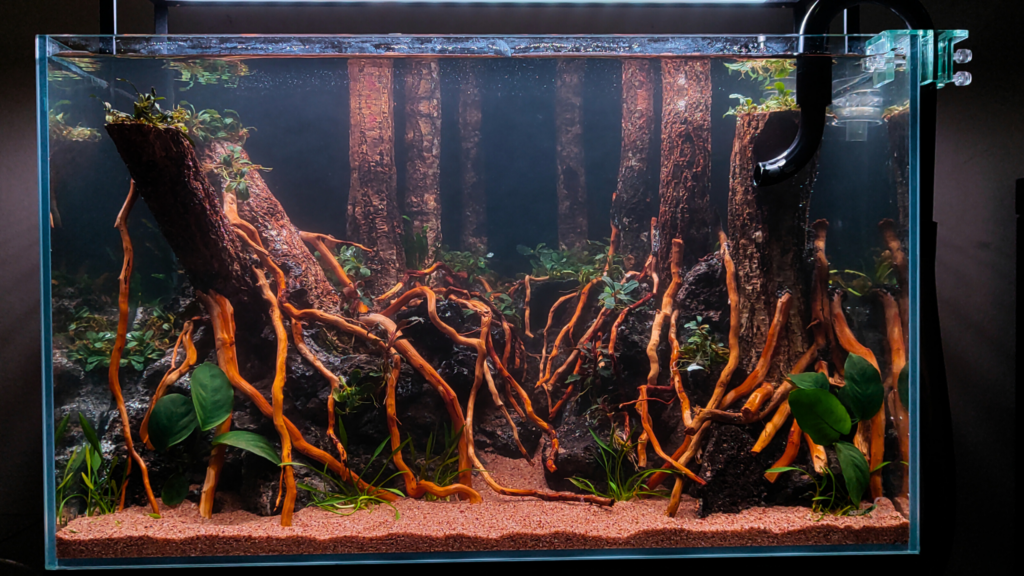 Emberwood Grove